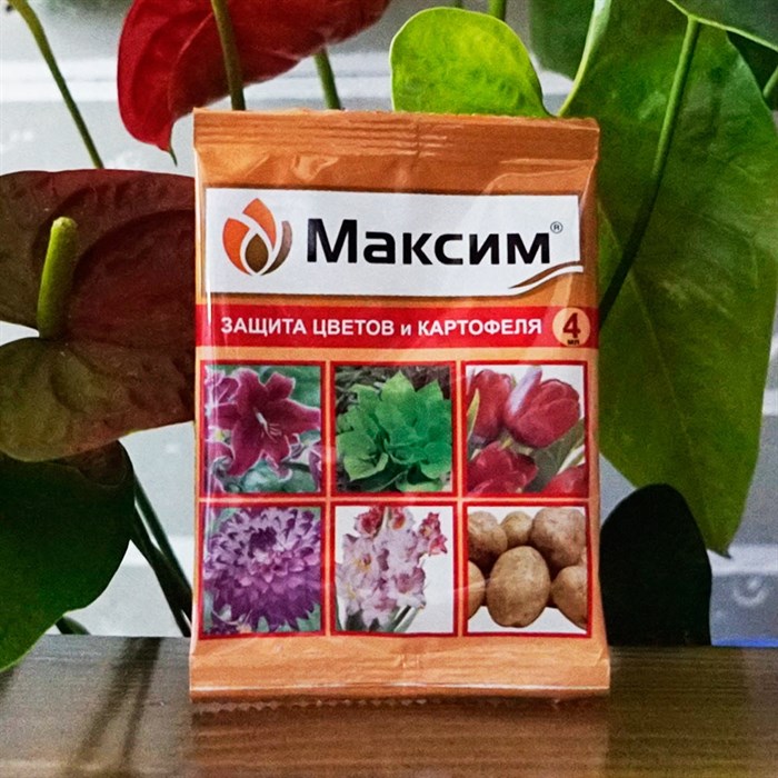 Гарден Зоо Интернет Магазин Пенза